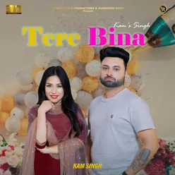 Tere Bina